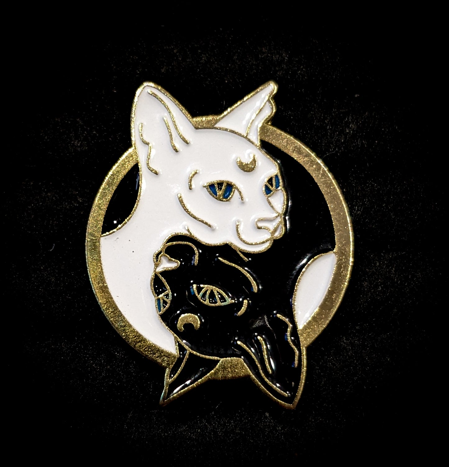 Yin & Yang Sphynx Kitties