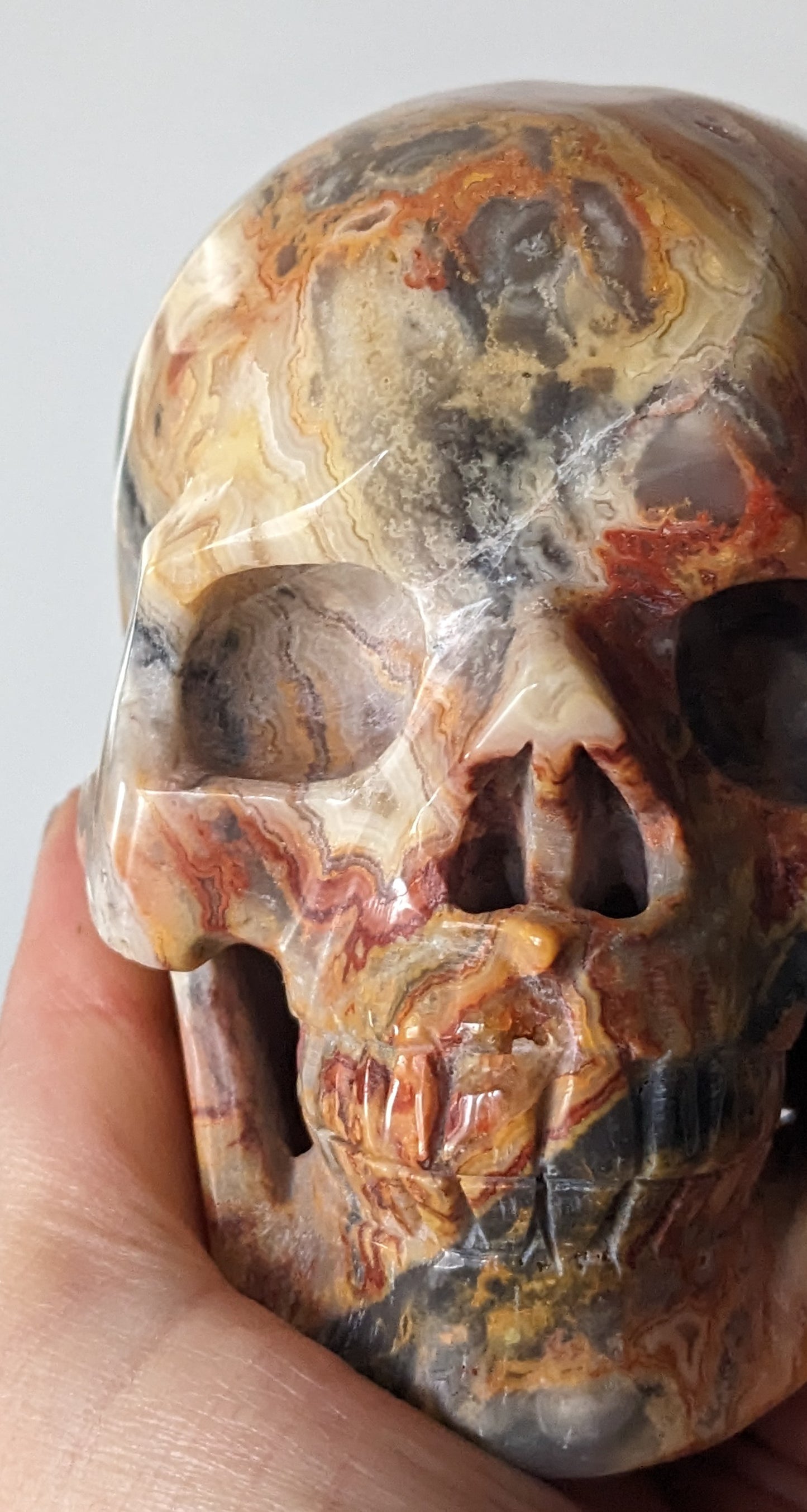 Crazy Lace Agate Skull