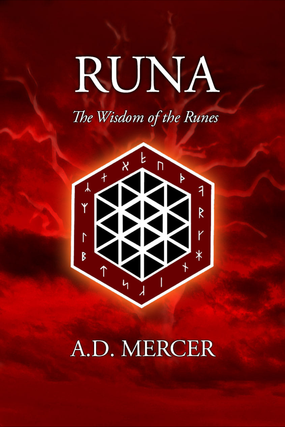 Runa: The Wisdom of the Runes by A.D Mercer (Paperback)