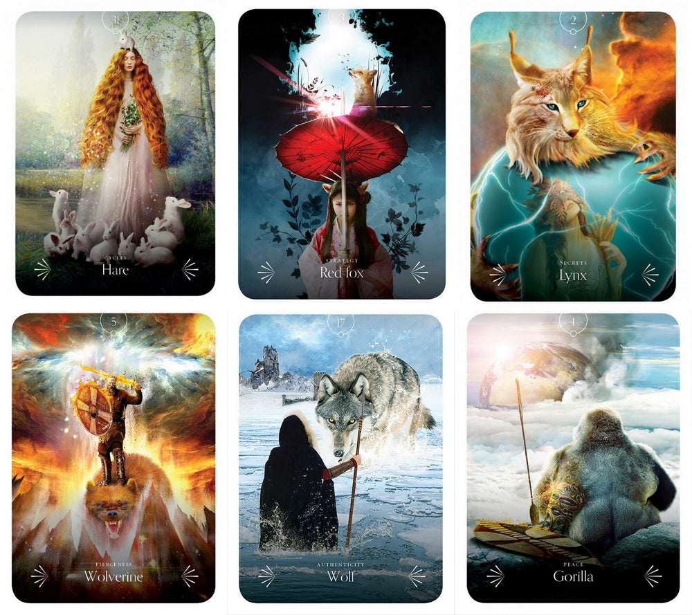 Divine Animals Oracle - Stacey Demarco