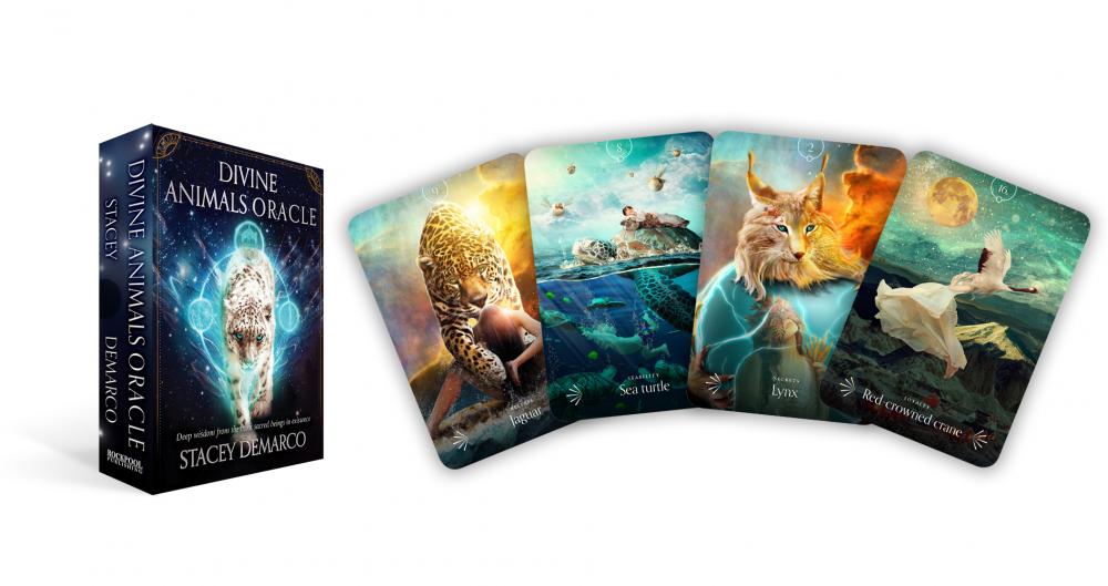 Divine Animals Oracle - Stacey Demarco